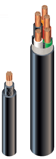 Image of two types of black Type W cable