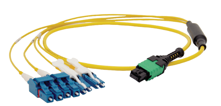 Close up of a 3mm Backbone Assembly, click for more information about 3mm Backbone Assemblies.