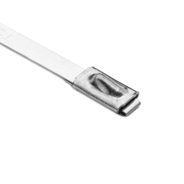 Stainless Steel Ties
