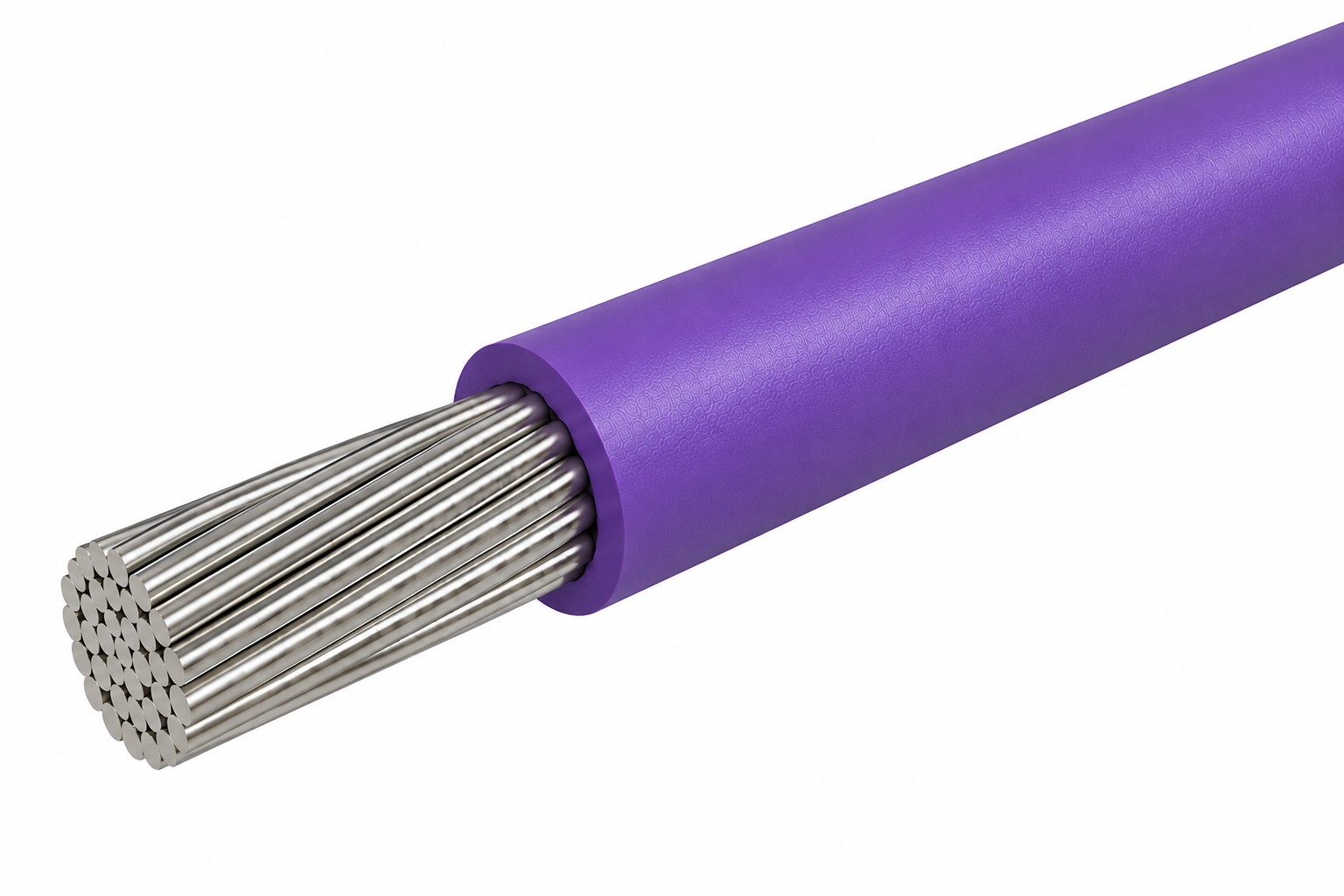 24 19TC 010 TYPE B VIOLET